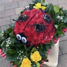 Ladybird Tribute