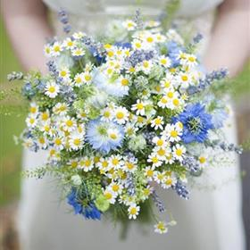fwthumb20200913_145344038_iOS.jpg